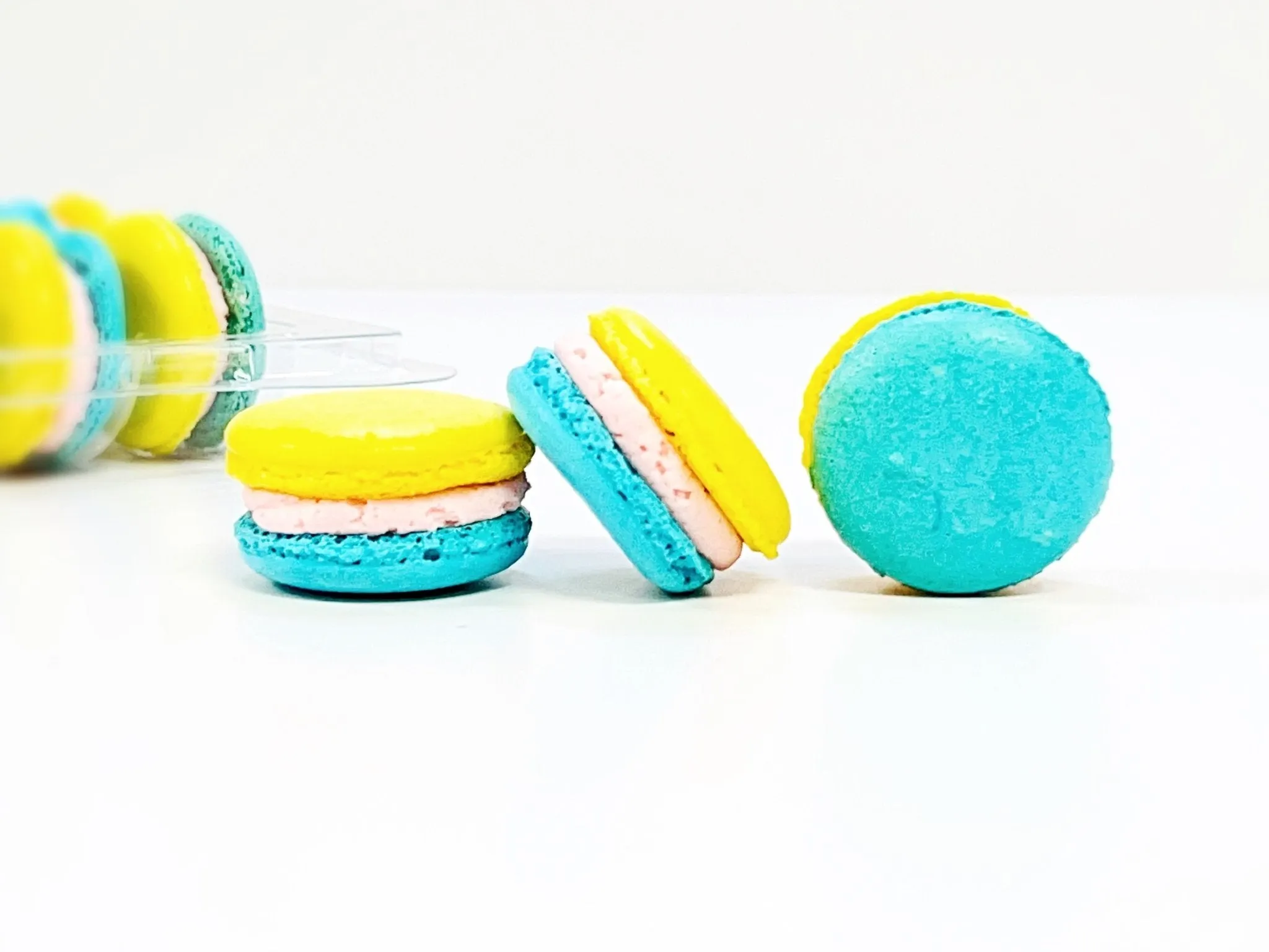 50 Pack Elderflower French Macaron Value Pack