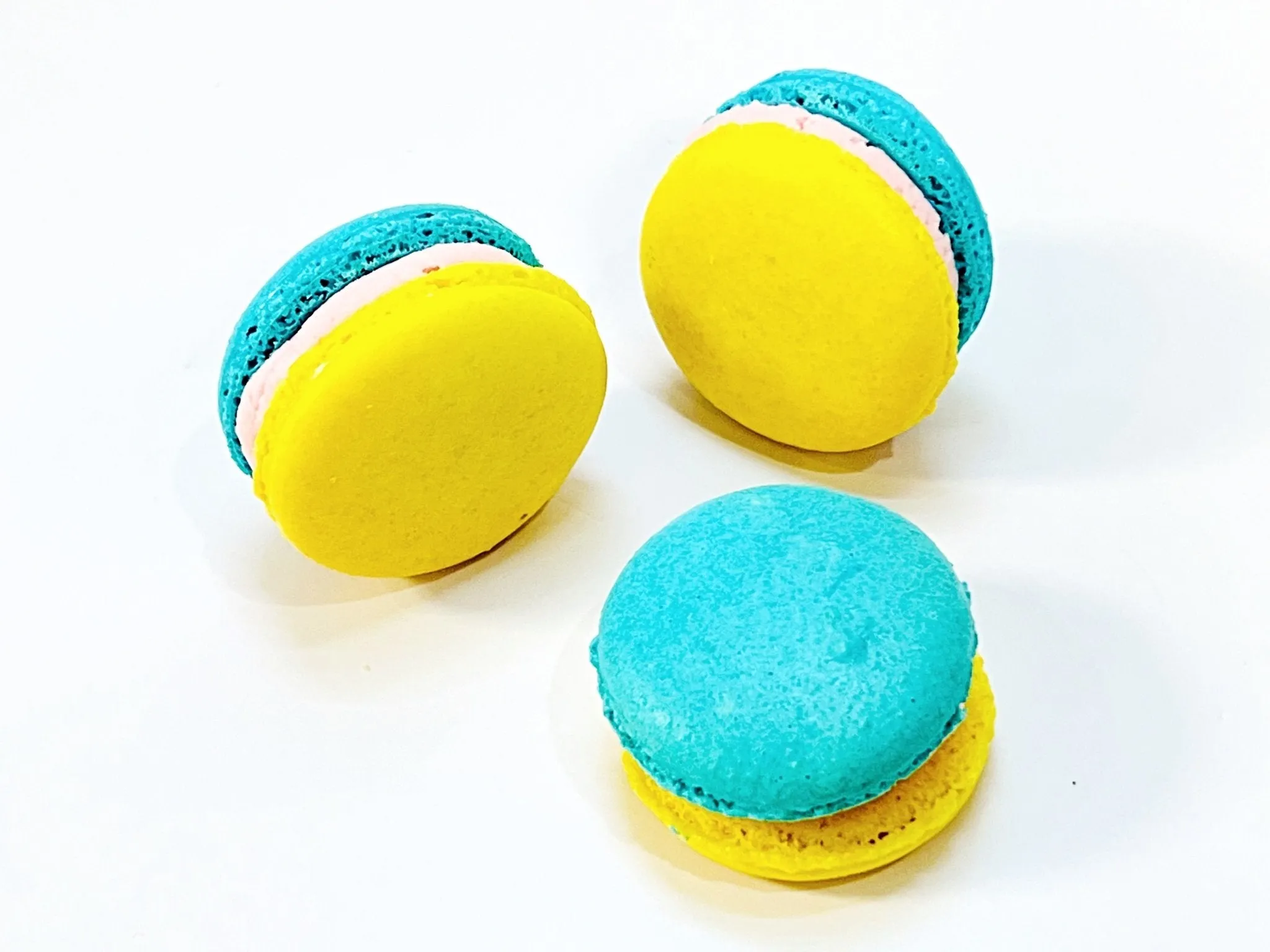 50 Pack Elderflower French Macaron Value Pack