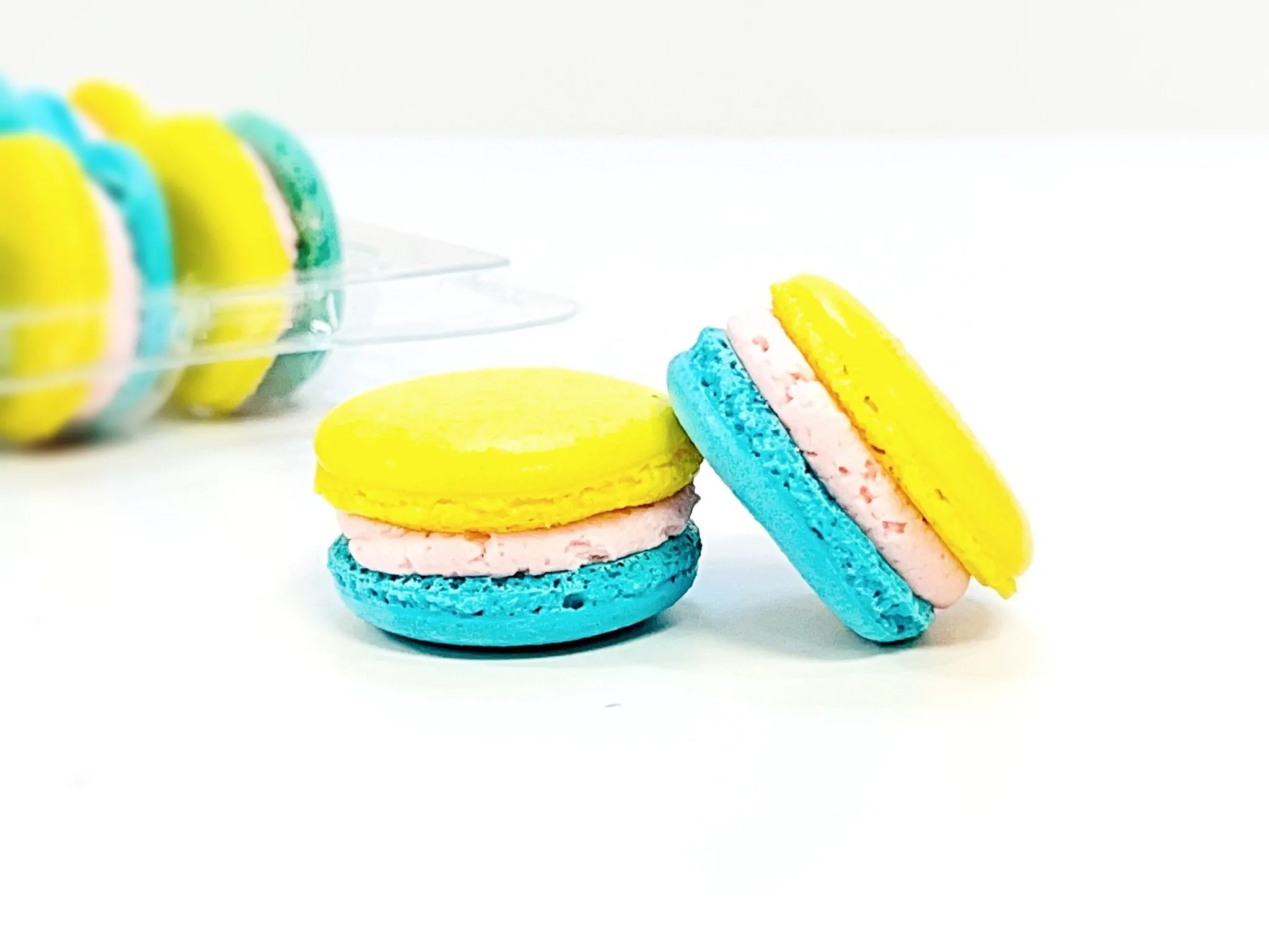 50 Pack Elderflower French Macaron Value Pack