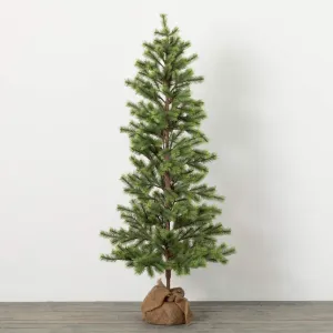 5'H Sullivans Emerald Pine Tree In Burlap, Green