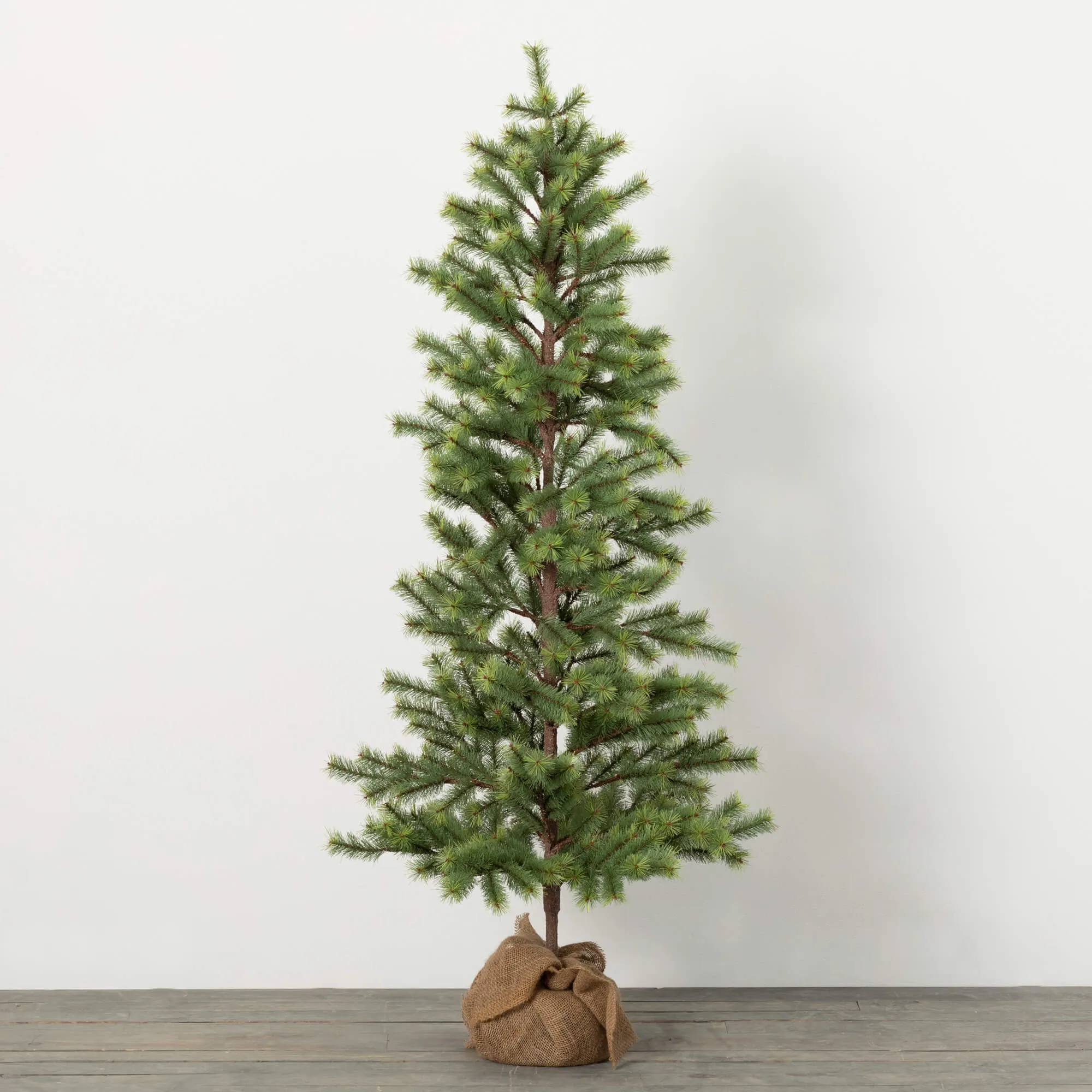 5'H Sullivans Emerald Pine Tree In Burlap, Green