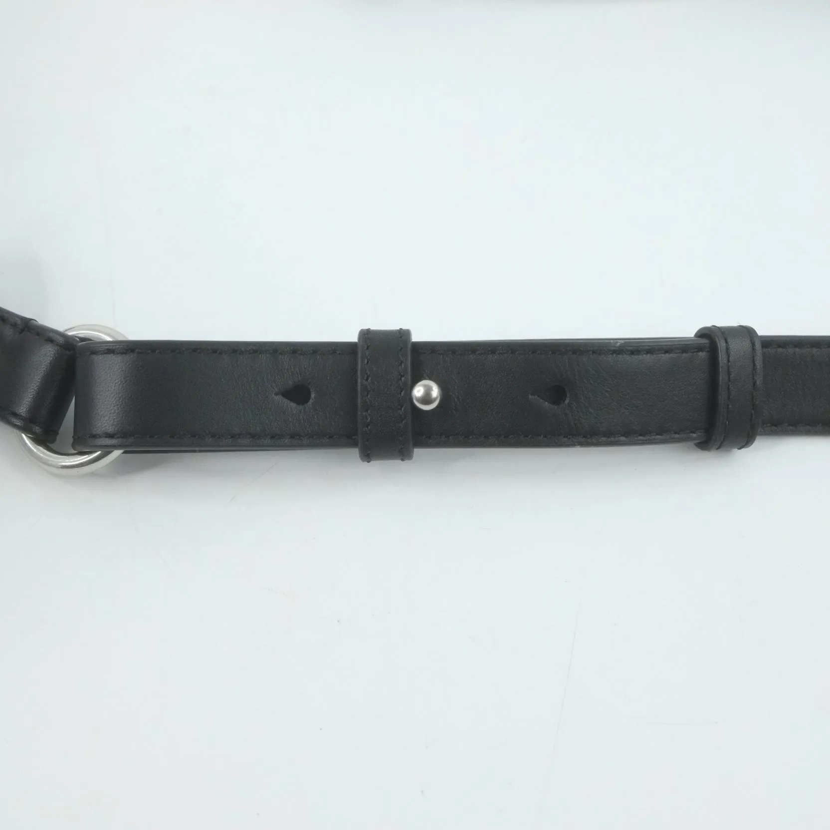 Alexander Wang Waist Bag Crystal 2019