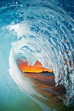 Blue Swan