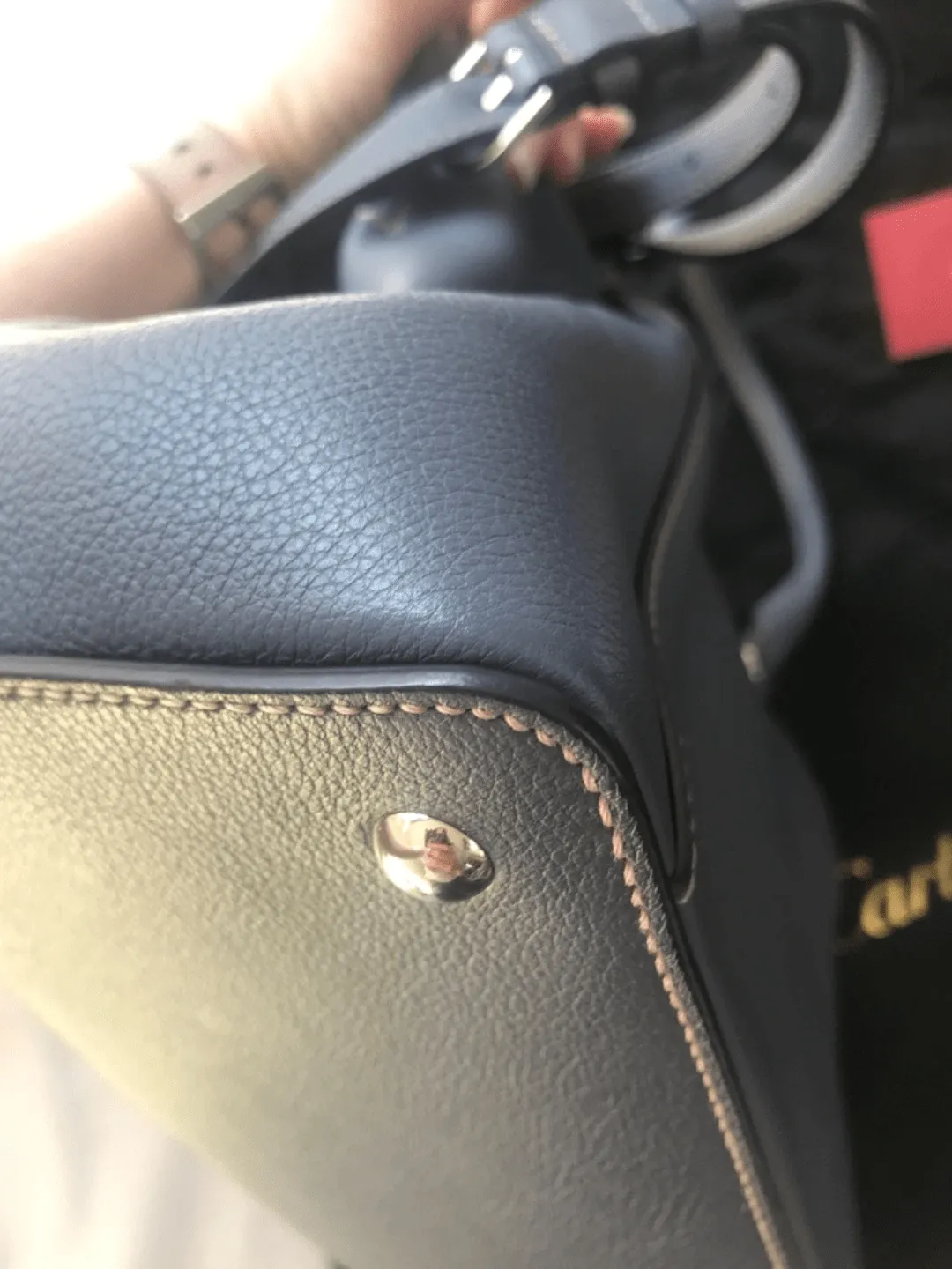 Cartier handbag