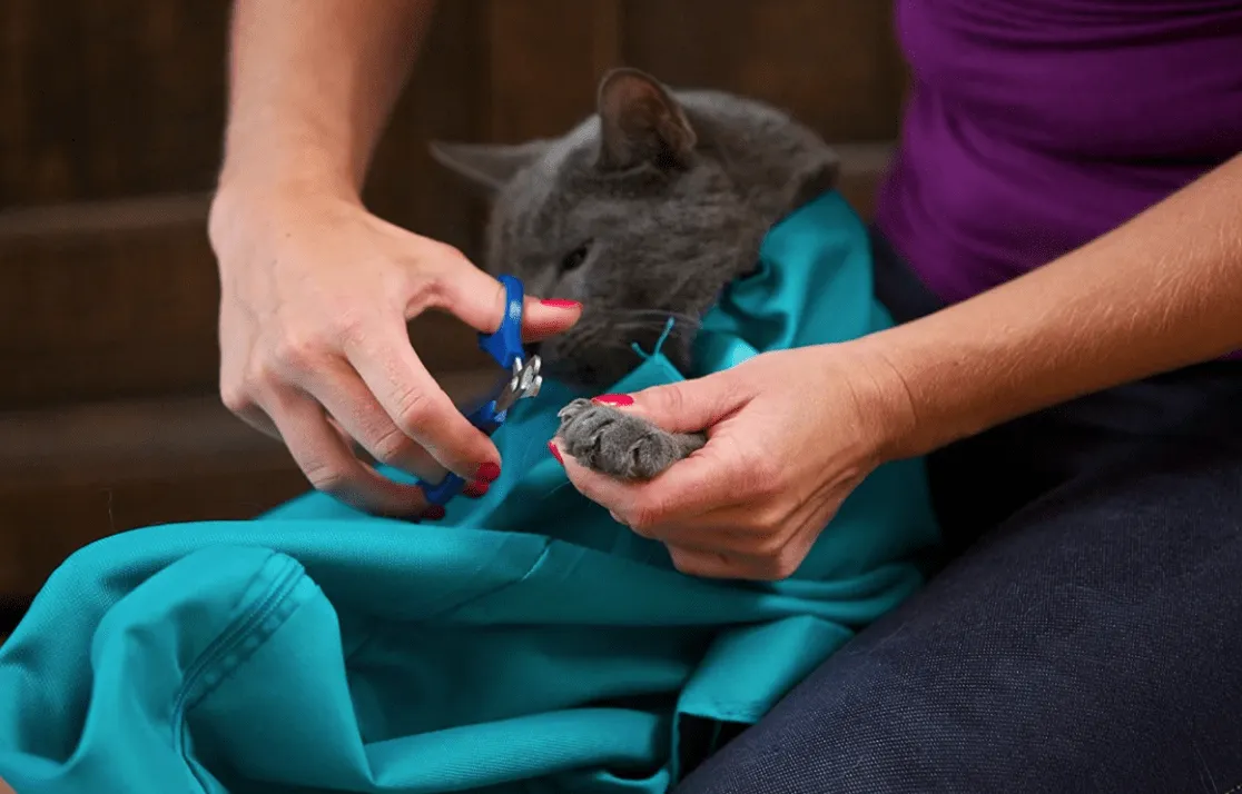 Cat Travel Pouch