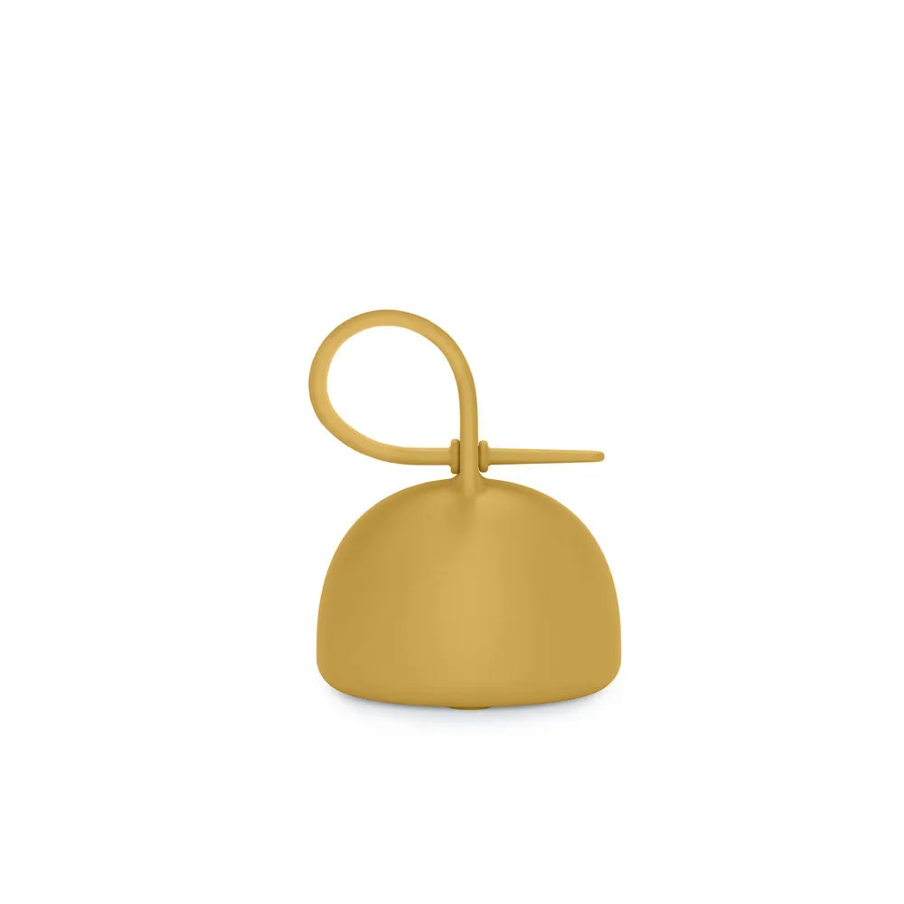 Colour Essence Bundle - Mustard