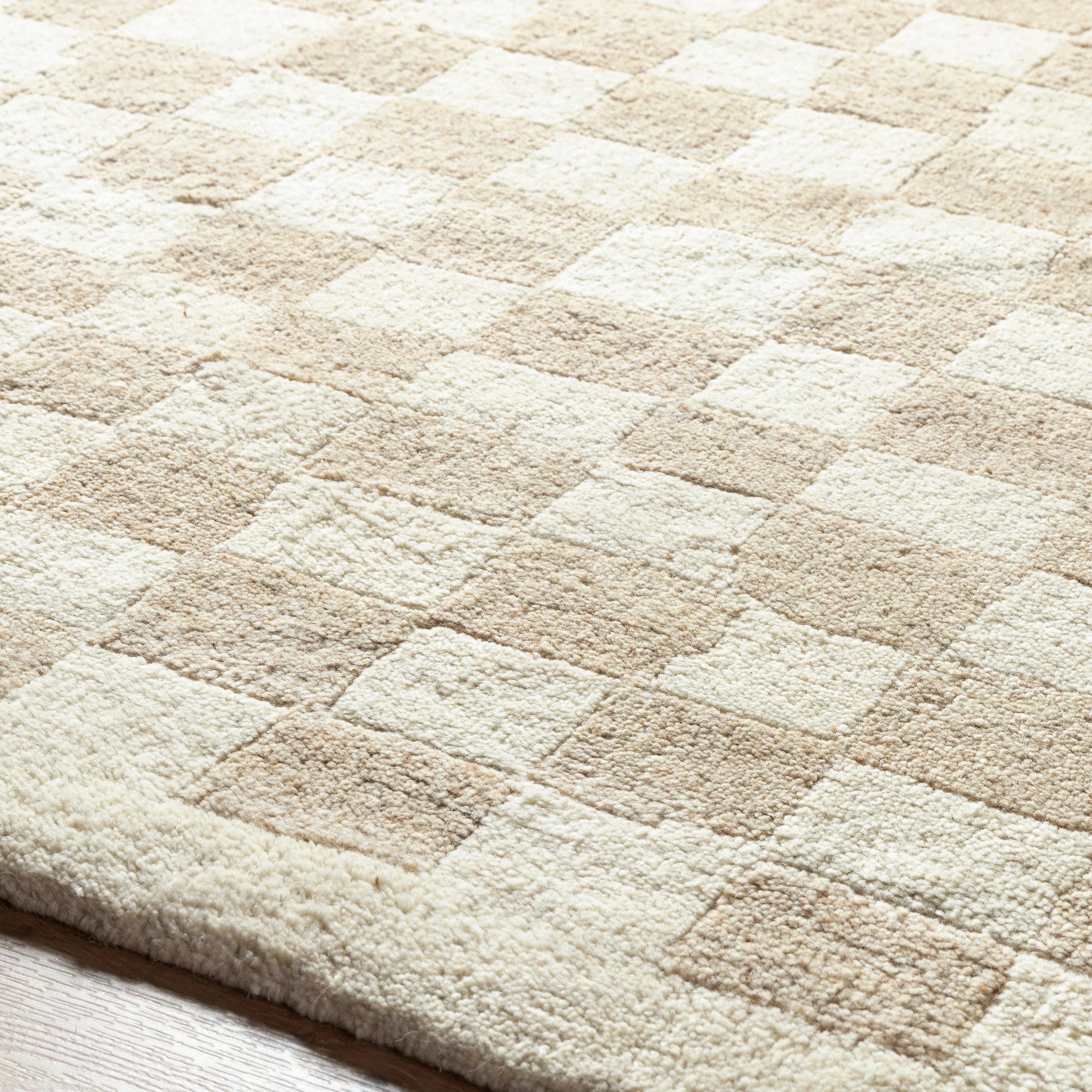 Damian Beige Checkered Rug