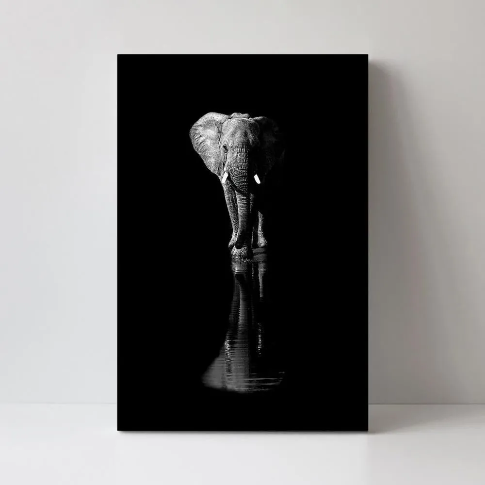 Elephant, By Jie Fischer