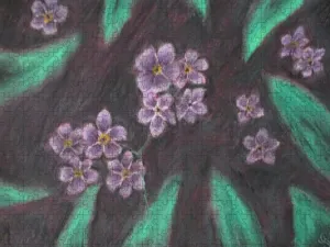 Forget Me Not - Puzzle
