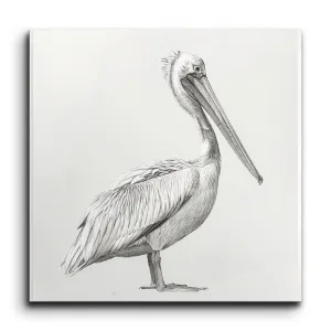 Graceful Pelican: Monochromatic Sketch Art