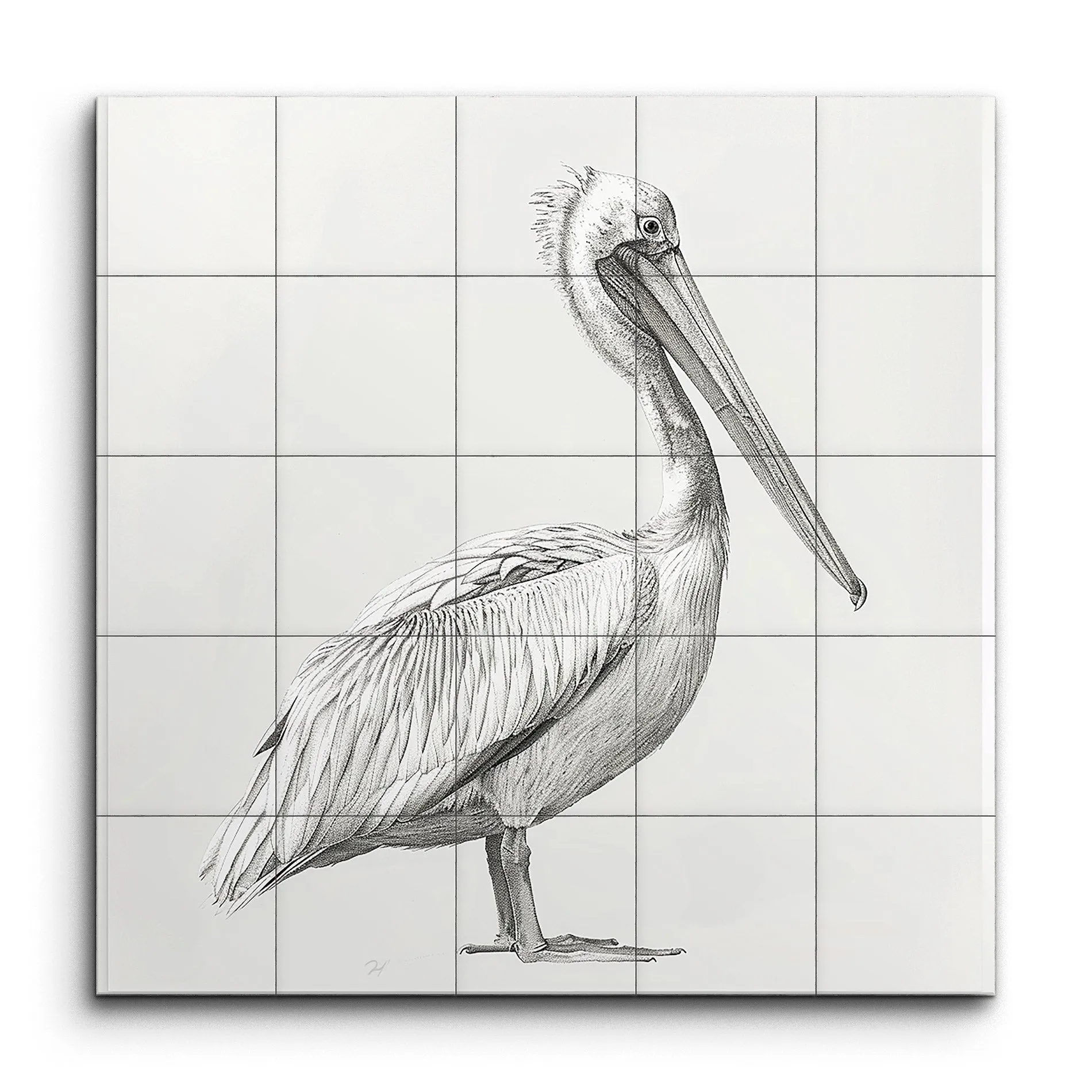 Graceful Pelican: Monochromatic Sketch Art