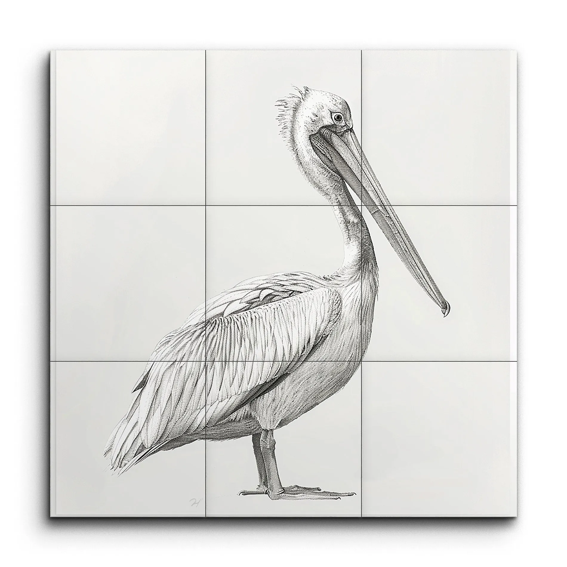 Graceful Pelican: Monochromatic Sketch Art