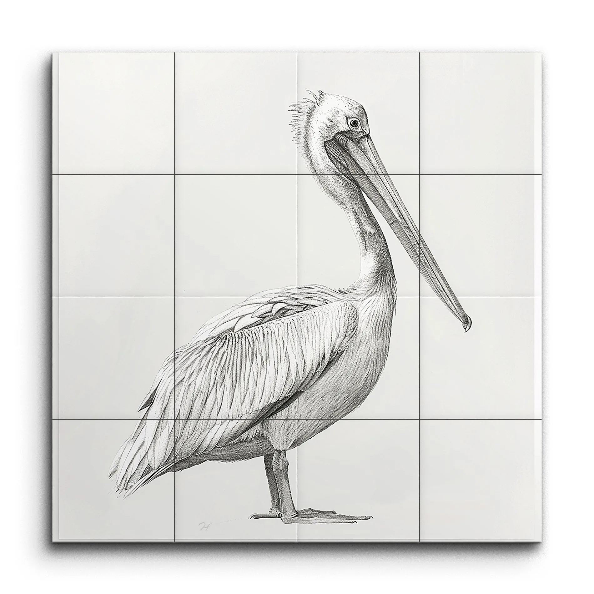 Graceful Pelican: Monochromatic Sketch Art