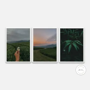 Green Country Set Of Three PRINTABLE WALL ART, Countryside Wall Art, Greenery Wall Art, Modern Farmhouse Decor, Cottagecore Poster, Botanical