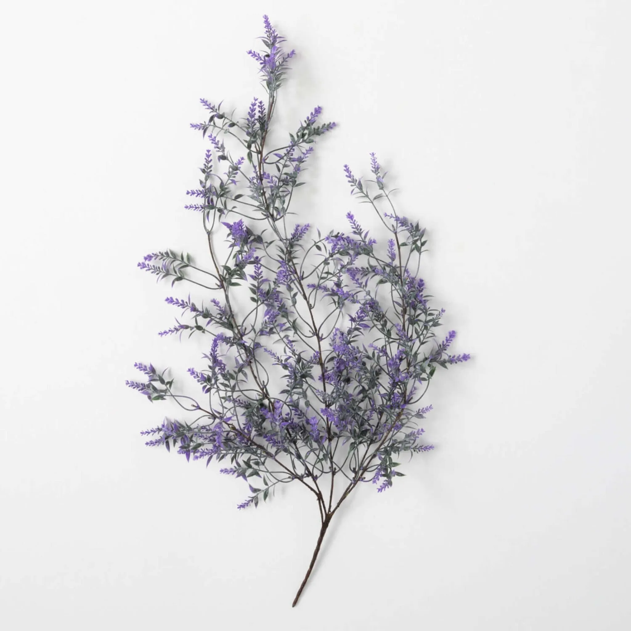 Hanging Lavender Bush