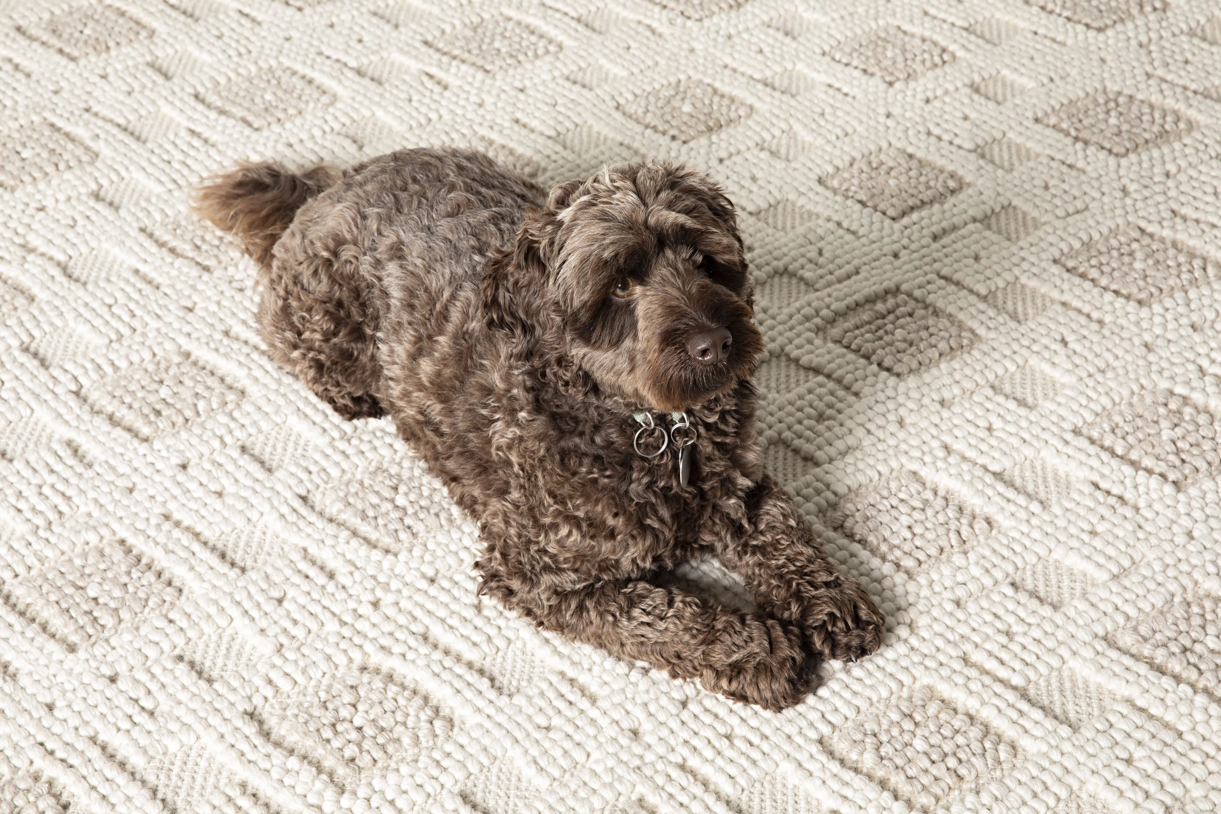 Layla Diamond Hand-Woven Wool Blend Natural & Cream Rug 240x150cm