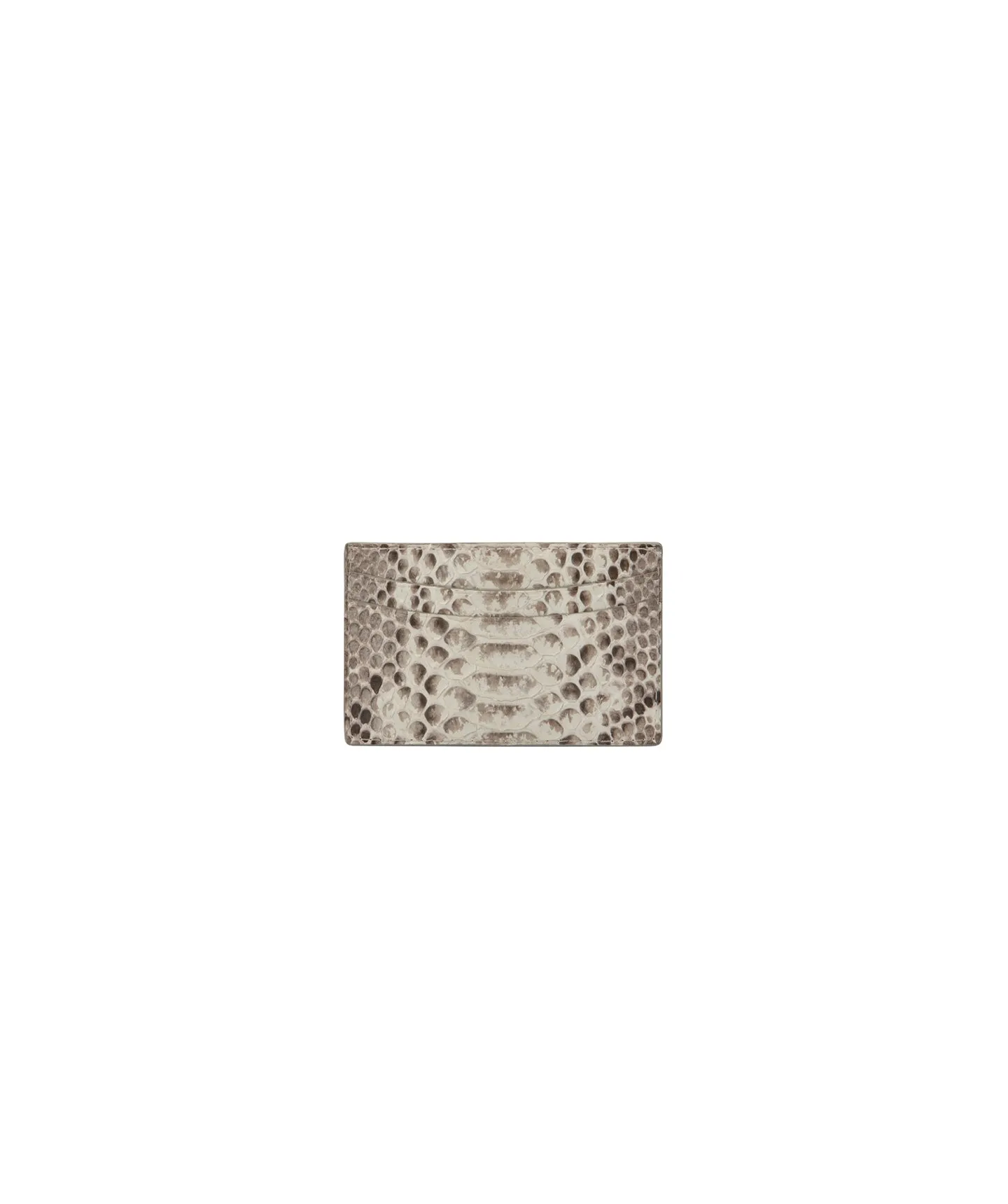 Natural Python | Credit Card Holder