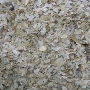 Oyster Shell Fine Grit