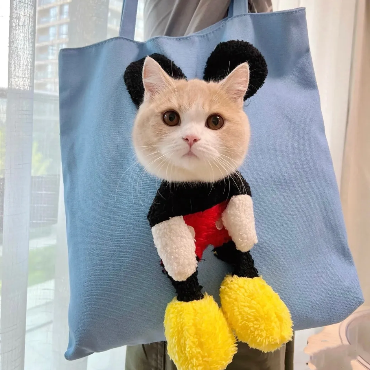 Pet Tote Bag Carrier with Plush for Cats & Dogs