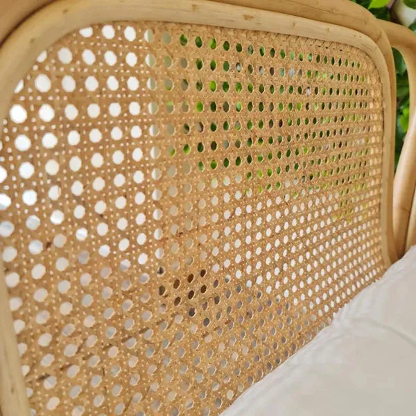 Rattan Sofa With Cushion