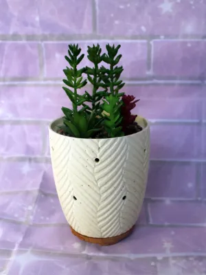 Succulent Essential Oil Diffuser