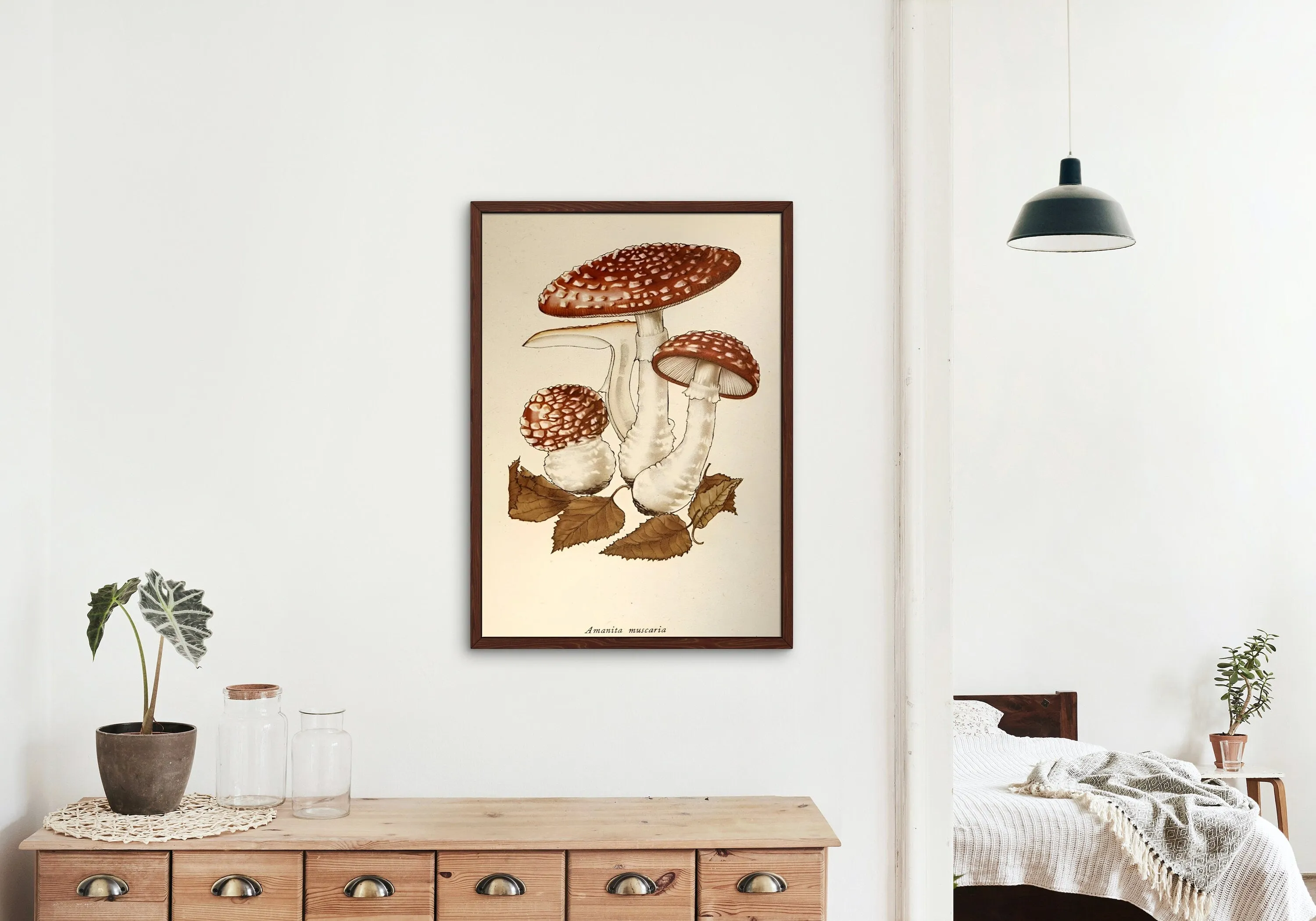 Vintage Mushroom Print Set Of 3 PRINTABLE ART, Rustic French Mushroom, Cottage Aesthetic, Botanical Wall Art, Biology Poster, Vintage Wall Art