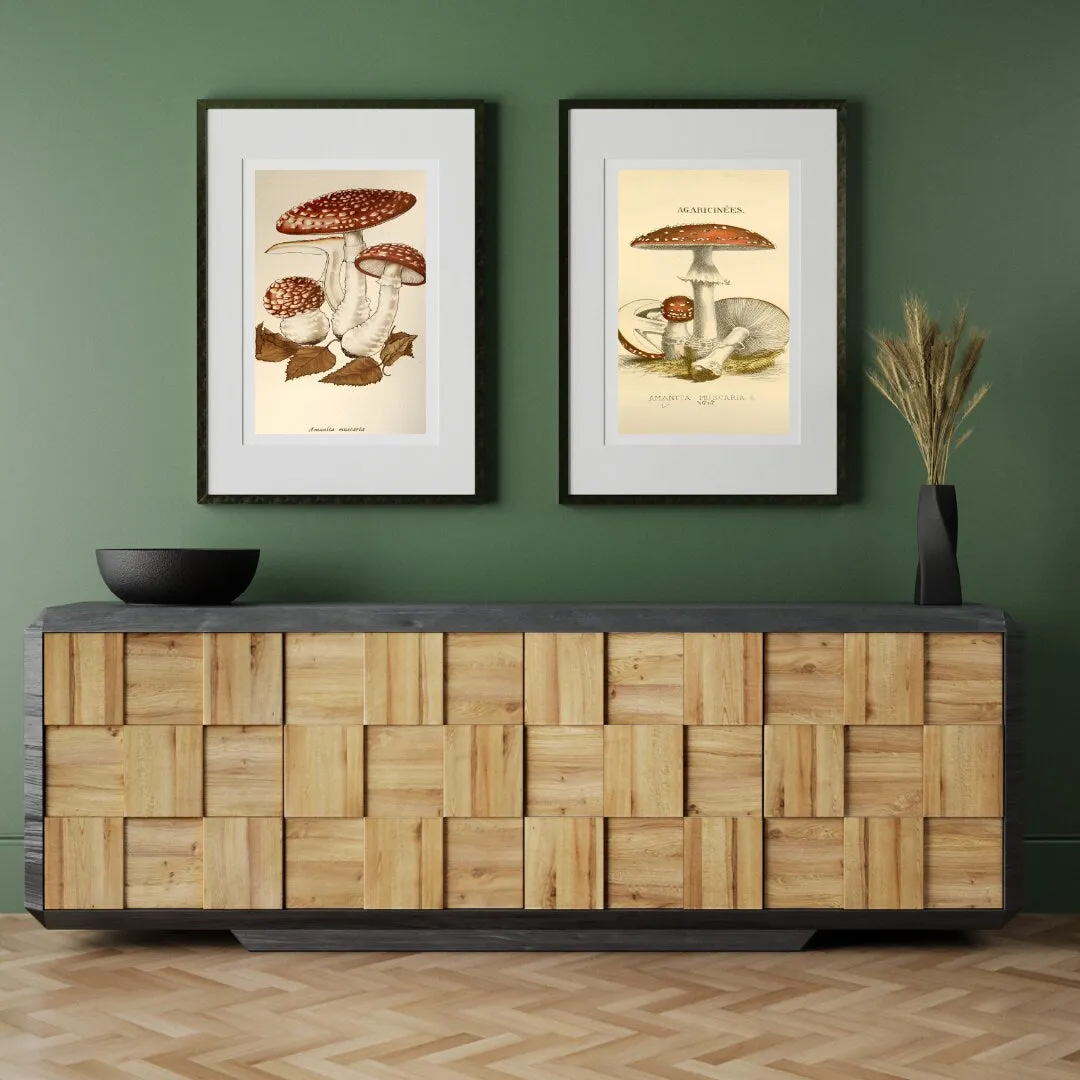 Vintage Mushroom Print Set Of 3 PRINTABLE ART, Rustic French Mushroom, Cottage Aesthetic, Botanical Wall Art, Biology Poster, Vintage Wall Art